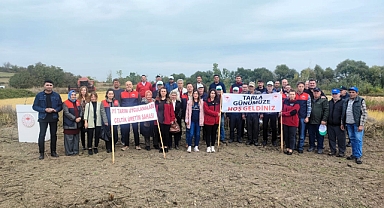 Babaeski'de Çeltik Tarla Günü Etkinliği Düzenlendi 