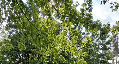 Babaeski’de Hava Durumu: Sıcaklıklar 7 ile 21 Derece Arasında Değişecek