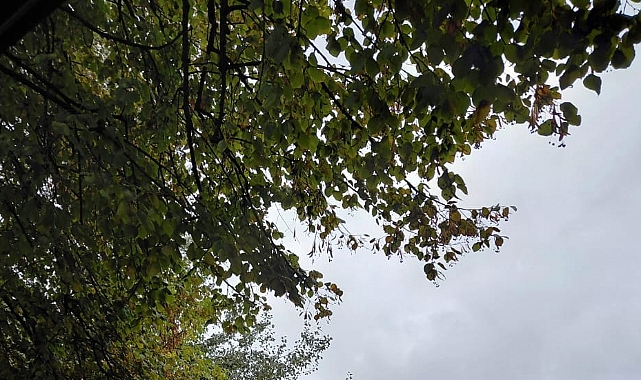 Babaeski’de Yarın Hafif Sağanak Yağış Bekleniyor