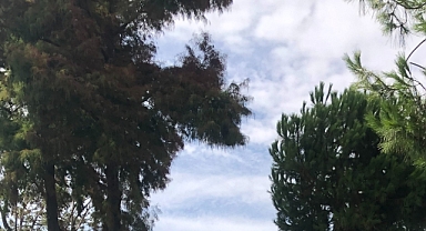 Babaeski’de Yarın Hava Durumu: Çok Bulutlu Bir Gün Kapıda