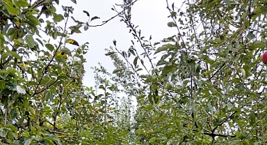 Babaeski’de Yarın Sağanak ve Gökgürültülü Yağış Bekleniyor: Şemsiyelerinizi Hazırlayın!