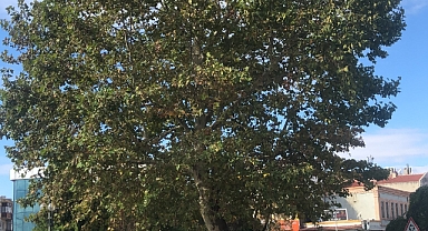 Babaeski’de Yarın Sağanak Yağış Bekleniyor