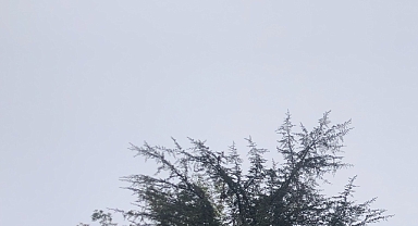 Babaeski’de Yarın Sisli Bir Hava Etkili Olacak