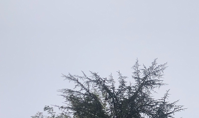 Babaeski’de Yarın Sisli Bir Hava Etkili Olacak