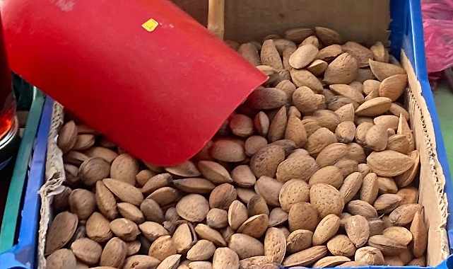 Bademin Sağlığa Olan Faydaları Saymakla Bitmiyor