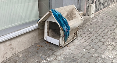 Duyarlı Vatandaşlardan Sokak Hayvanlarına Kulübe