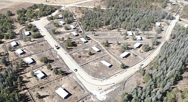 Edirne’de Sokak Hayvanlarına Merhametli ve Güçlü Adımlar