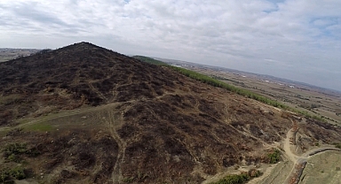Edirne'de yangında zarar gören orman alanı ağaçlandırılacak