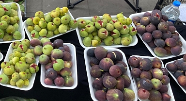 İncir: Doğal Besin ve Sağlık Kaynağı 