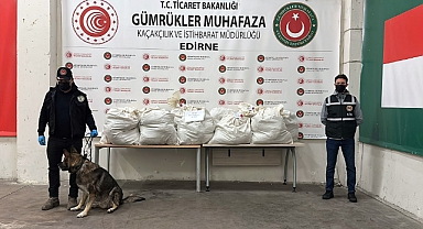 Kapıkule’de TIR'ın dorsesinde 113 kilo 664 gram esrar ele geçirildi