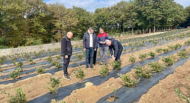 Kaymakam Özderin Natural Botanik Tesisini Ziyaret Etti 