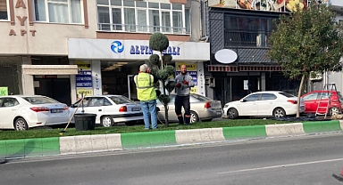 Kırklareli Belediyesi'nden Kente Değer Katan Peyzaj Çalışmaları