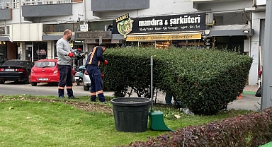 Kırklareli Belediyesi’nden Şehrin Güzelliğine Katkı: Peyzaj Düzenlemesi