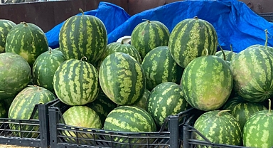 Kırklareli Çiftçileri Son Karpuzlarını Satışa Çıkardı 