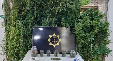 Kırklareli'de uyuşturucu yetiştirilen eve operasyonda 1 tutuklama