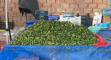 Kırklareli Halk Pazarında Turşuluk Bereketi