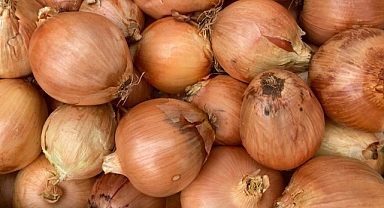 Kuru Soğanın Sağlığa Katkıları 