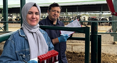 Lüleburgaz’da Ari Hayvancılık İşletmelerinde Kontroller Sürüyor