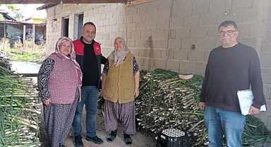 Lüleburgaz'da Beyaz Pırasa Hasadı Denetim Altında Sürdürülüyor