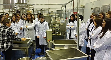 Öğrenciler, Süt Ürünleri Üretim Süreçlerini Yerinde Gözlemledi