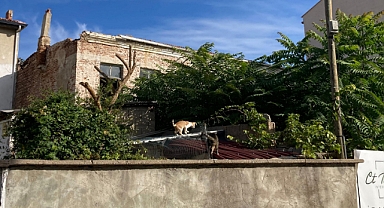 Satışı En Zor Mülkler: Tarihi Yapılar 