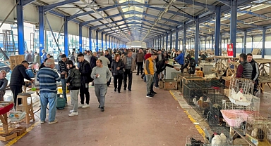 Tekirdağ’da açılan güvercin pazarı, aileler ve çocukların ilgi odağı oldu