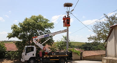 Trakya’nın Enerjisi Doğayla Uyum İçinde Dağıtılıyor