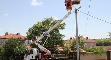 TREDAŞ’tan Doğa ve Hayvan Dostu Çalışmalar