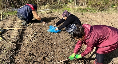Vize Düzova’da Salep Ekim Çalışmaları Başladı
