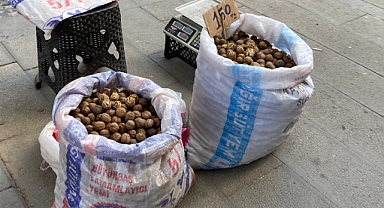 Yerel Üretici Cevizi Satışta 