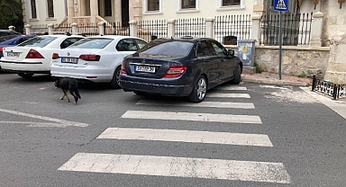 Yurt Dışı Plakalı Araçlara Türkiye’de Trafik Cezası Uygulaması