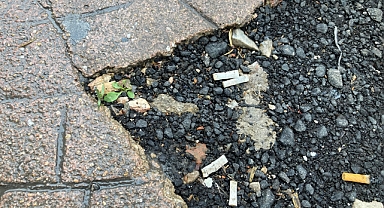 1 Ocak'tan İtibaren Çevreyi Kirletene Ceza Uygulanacak