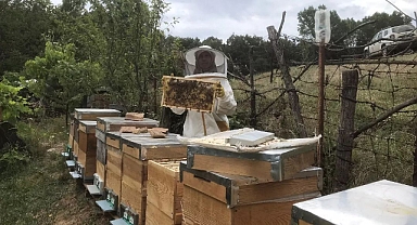 2025 Yılı Arıcılık Destekleme Başvuruları Başladı 