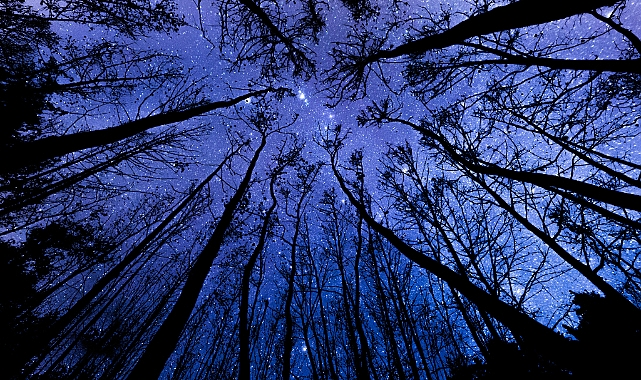 4 Kasım 2025 Salı Günlük Burç Yorumları: Aile İlişkilerinde Anlayışlı Olun