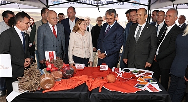 Avrupa Saraylarının Efsanevi Rengi Ana Vatanında Canlanıyor