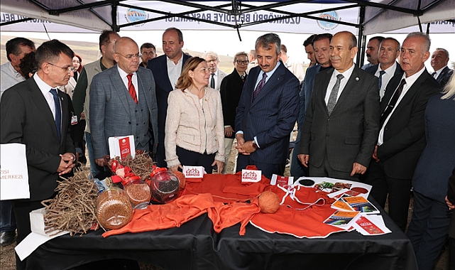 Avrupa Saraylarının Efsanevi Rengi Ana Vatanında Canlanıyor