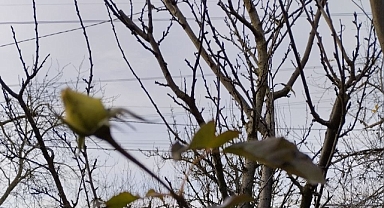 Babaeski’de Gökgürültülü Sağanak Yağış Bekleniyor