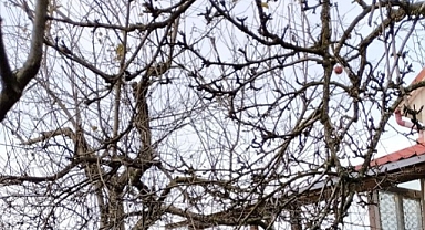 Babaeski’de Yağışlı Bir Hava Bekleniyor: Sıcaklıklar 10 ile 18 Derece Arasında Seyredecek