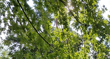 Babaeski’de Yarın Hava Az Bulutlu Ve Güneşli Olacak