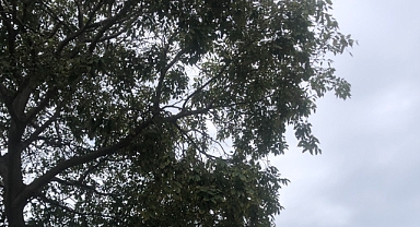 Babaeski’de Yarın Parçalı Bulutlu Bir Gün Bekleniyor