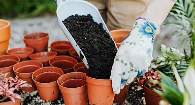 Bitki Koruma Ürünleri İçin Uygulayıcı Belgesi Şart
