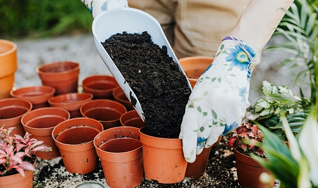 Bitki Koruma Ürünleri İçin Uygulayıcı Belgesi Şart