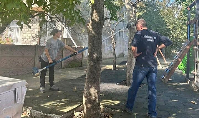 Büyükkarıştıran'da Ağaç Budama Çalışmaları Hızla Sürüyor