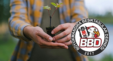 Büyükmandıra Beşiktaşlılar Derneği: “Fidan Dikiyoruz, Geleceğimizi Yeşertiyoruz!”