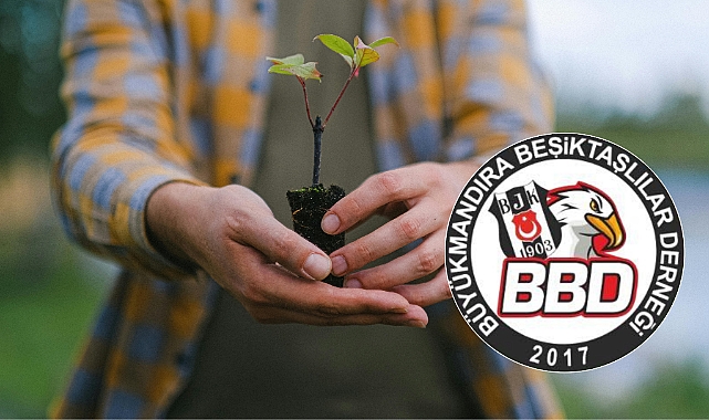 Büyükmandıra Beşiktaşlılar Derneği: “Fidan Dikiyoruz, Geleceğimizi Yeşertiyoruz!”