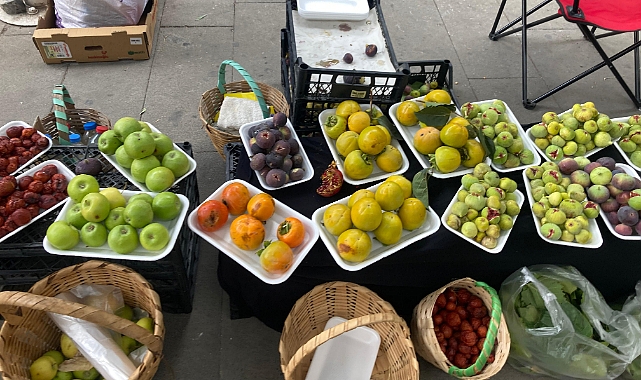 Doğallık ve Besin Değeri Tartışması
