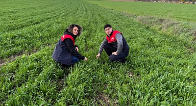 Kaliteli Kaba Yem Üretimi İçin Tarla Kontrolleri Sürüyor