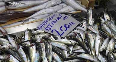 Kasım Ayında Hangi Balıklar Yenir? Sağlık ve Lezzetin Buluştuğu Ay