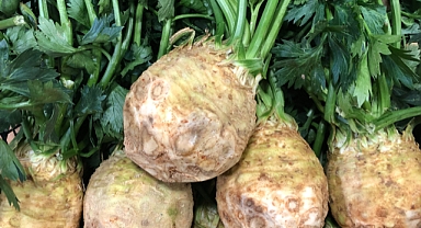 Kereviz: Kış Mevsiminin Şifalı ve Lezzetli Sebzesi