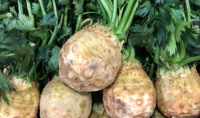 Kereviz: Kış Mevsiminin Şifalı ve Lezzetli Sebzesi